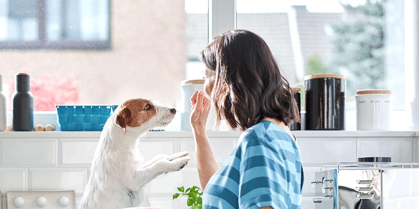 ZooRoyal Saftige Würstchen