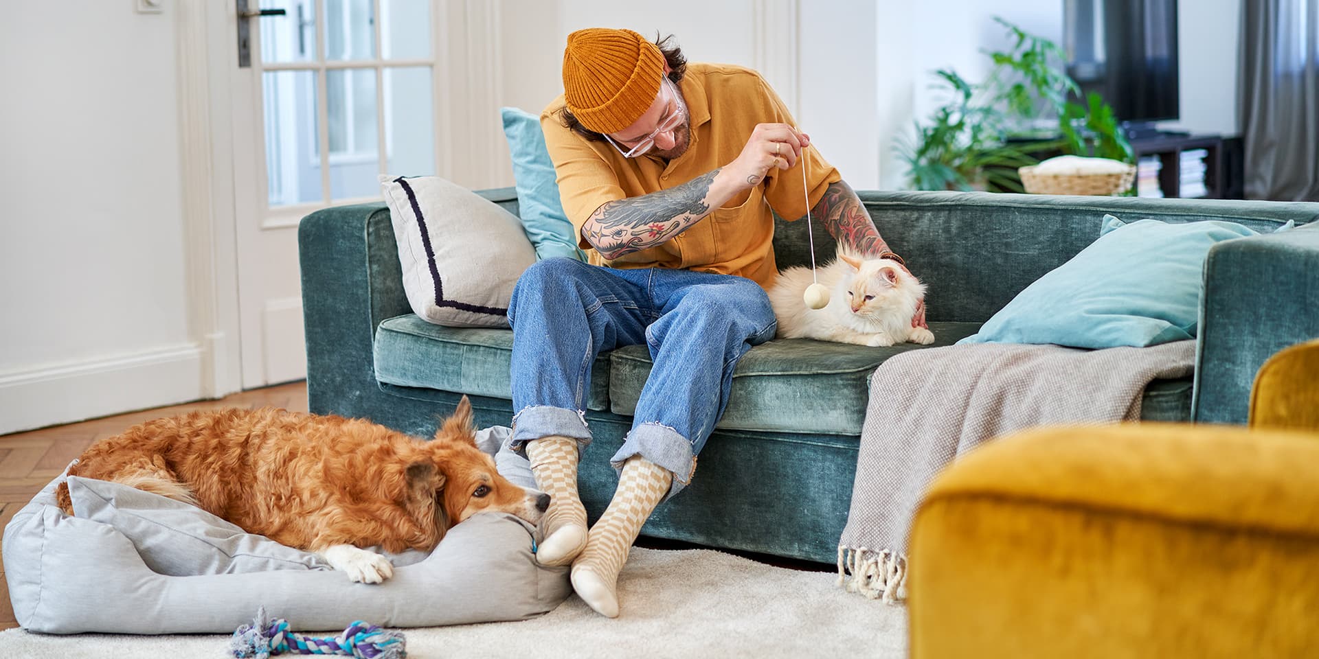 ZooRoyal Hund & Katze