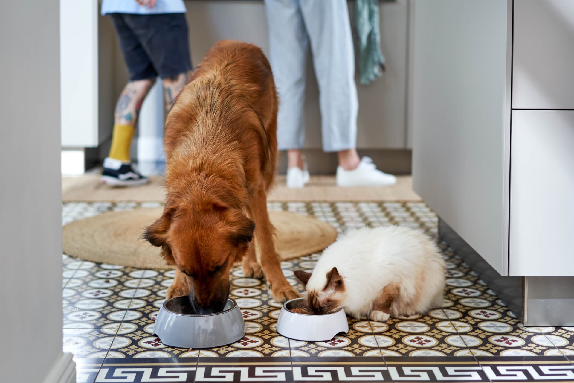 ZooRoyal Nassfutter Hund und Katze