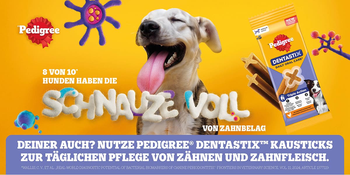 PEDIGREE® DentastixTM Daily Oral Care